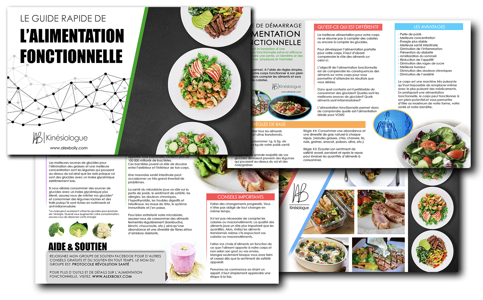 Guide D Alimentation Fonctionnelle Alex Boily Kin Siologue